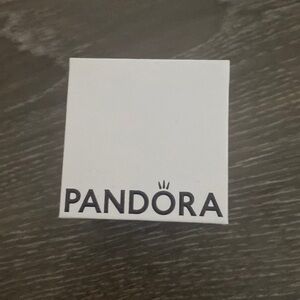 PANDORA Charm Box